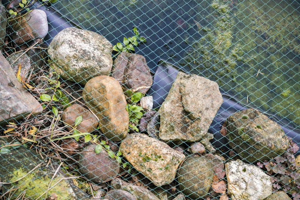 Filet de bassin 10 m x 10 m filet à feuilles, filet de recouvrement, filet de silo, robuste