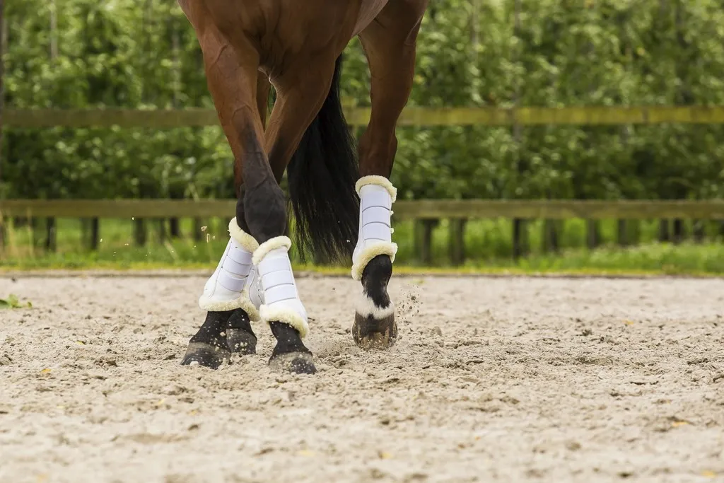 Guêtres Lami-Cell Comfort : confort et protection pour votre cheval
